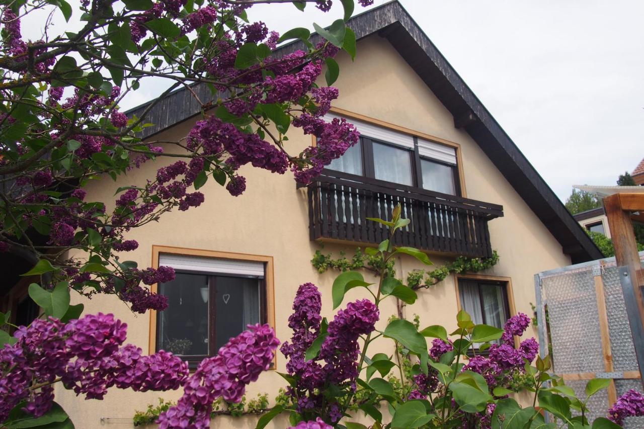 Apartamento Haus Sonneneck Bad Bocklet Exterior foto